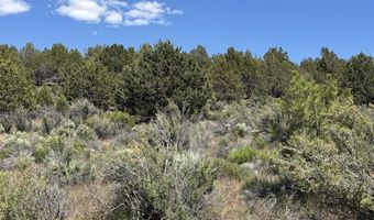 Medicine Mountain Drive 1, Beatty, OR 97621