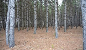 685 17th Dr, Arkdale, WI 54613