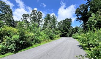 3 Winter Hawk Dr 1, Arden, NC 28704