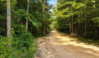 SW Auburn Drive, Bogue Chitto, MS 39629