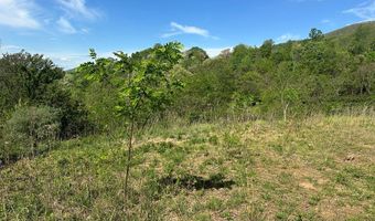 12 Acs Gidsville Rd, Amherst, VA 24521