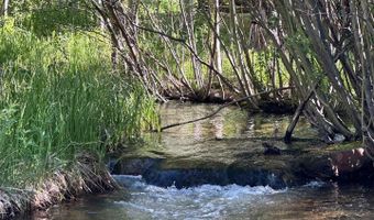 84 County Road 113 S, Allenspark, CO 80510