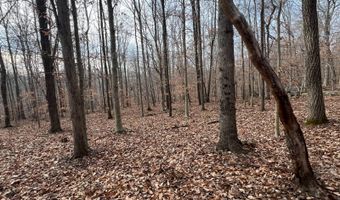 1383 HogBack Rd, Albany, KY 42602