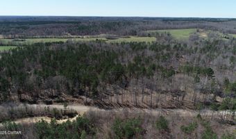 Tract 8 State Route 225, Bethel Springs, TN 38315