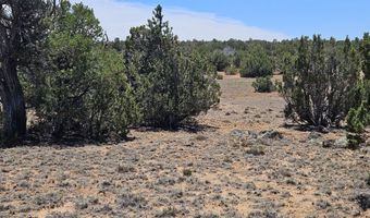 ACR N8388 and N8385, Concho, AZ 85924