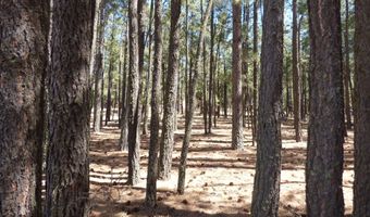 8 B County Road 2267 Escudilla Rd, Alpine, AZ 85920