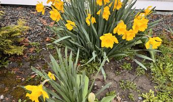 1045 Broadway, Bangor, ME 04401