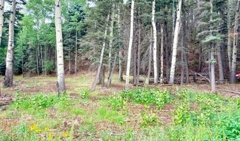 22954 Mt. Elbert Dr, Aguilar, CO 81020
