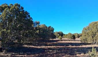 5 N8715, Concho, AZ 85924