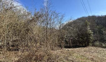 1135 Ned Clark Rd, Bean Station, TN 37708