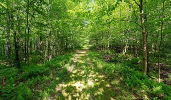 115 Stone Hill Rd, Bolton, VT 05477