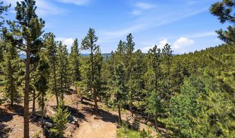 212 Elk Pl, Black Hawk, CO 80422