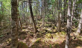 Spruce Mountain Lake, Beddington, ME 04622