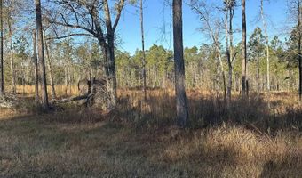 50945 US Highway 31, Bay Minette, AL 36507