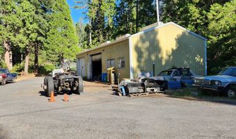 55533 MCKENZIE RIVER Dr, Blue River, OR 97413