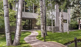 307 N Sixth St, Aspen, CO 81611