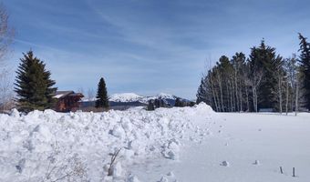 445 TARGHEE TOWNE Rd, Alta, WY 83414