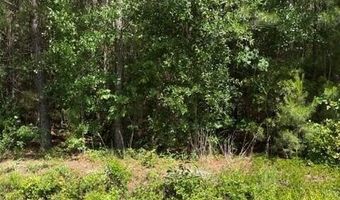 Beattys Bridge Road, Atkinson, NC 28421