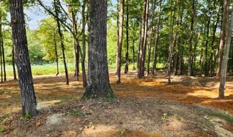 1602 Ranchland Rd, Belden, MS 38826