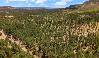 70 County Road 2266, Alpine, AZ 85920