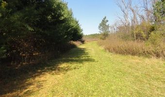 95 Acres Highway 13, Wisconsin Dells, WI 53965