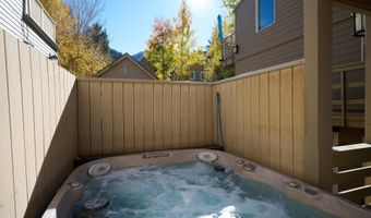 825 E Hopkins Ave 2S, Aspen, CO 81611