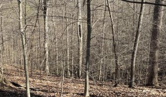 N Center Ridge Place, Baneberry, TN 37890