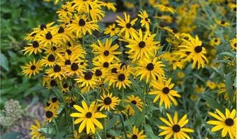 602 6th Ave SW, Austin, MN 55912