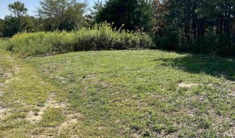 5675 Nixon Chapel Rd, Albertville, AL 35950