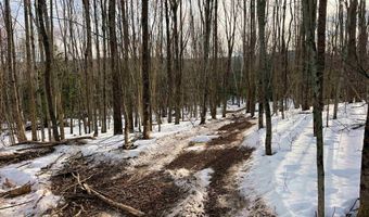 0 Duck Pond Rd, Barton, VT 05822