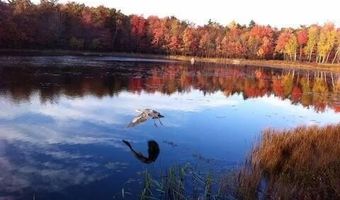 7 Wintergreen Trl, Albrightsville, PA 18210