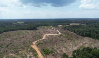 SE Cole Drive, Bogue Chitto, MS 39629