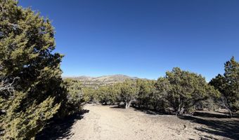 Andy's Way, Elko, NV 89801