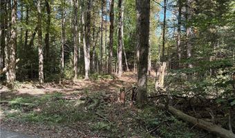 Beaver Trail lot # 1, Alder Creek, NY 13301