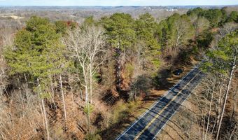 00001 Hwy 369, Ball Ground, GA 30107