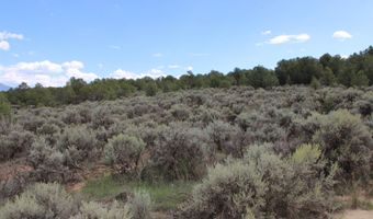 Tract 12 Trementina Road, Arroyo Hondo, NM 87513