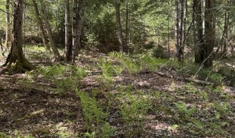Route 9 lot 13, Aurora, ME 04428