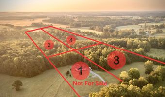 Tract 3 County Road 503, Anderson, AL 35610