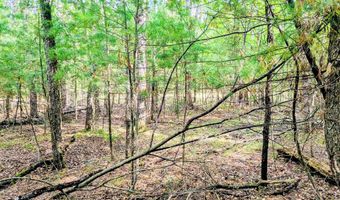 Buffalo Trail, Alger, MI 48610