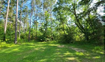 1570 Shelby Ln, Bogue Chitto, MS 39629