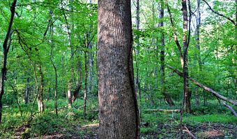 RICHARD ALLEN Street, Aquasco, MD 20608