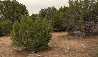 35 County Road 3044, Concho, AZ 85924