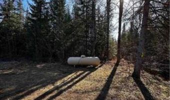 6002 Wildwood, Alger, MI 48610