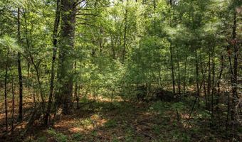 19 Th Pass Lot 132, Arkdale, WI 54613