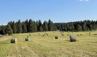 1881 Mill Rd, Anatone, WA 99401