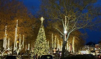 116 Ellis Ave, Abbeville, SC 29620