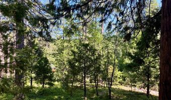 1647 Gertrude Way, Arnold, CA 95223