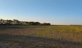 5428 CR 364, Anson, TX 79501