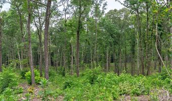 Wilson Lane, Arnoldsville, GA 30619