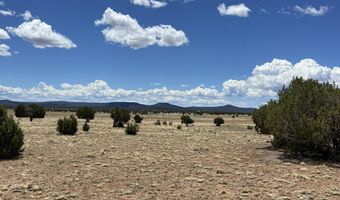 70 Off Of Volcano, Ash Fork, AZ 86320